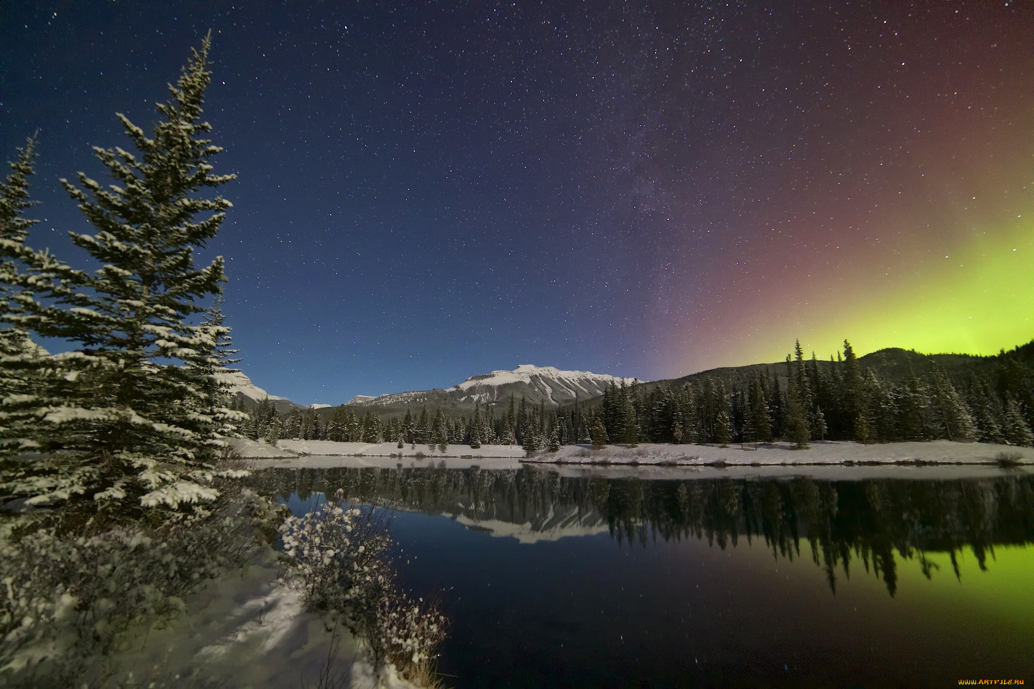 ,  , , kananaskis, country, , , , , forgetmenot, pond, , , , canada, canadian, rockies, , , alberta, , 